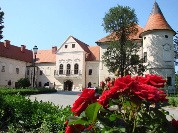 Ljetni znanstveni kampovi