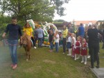 Ponyland slika