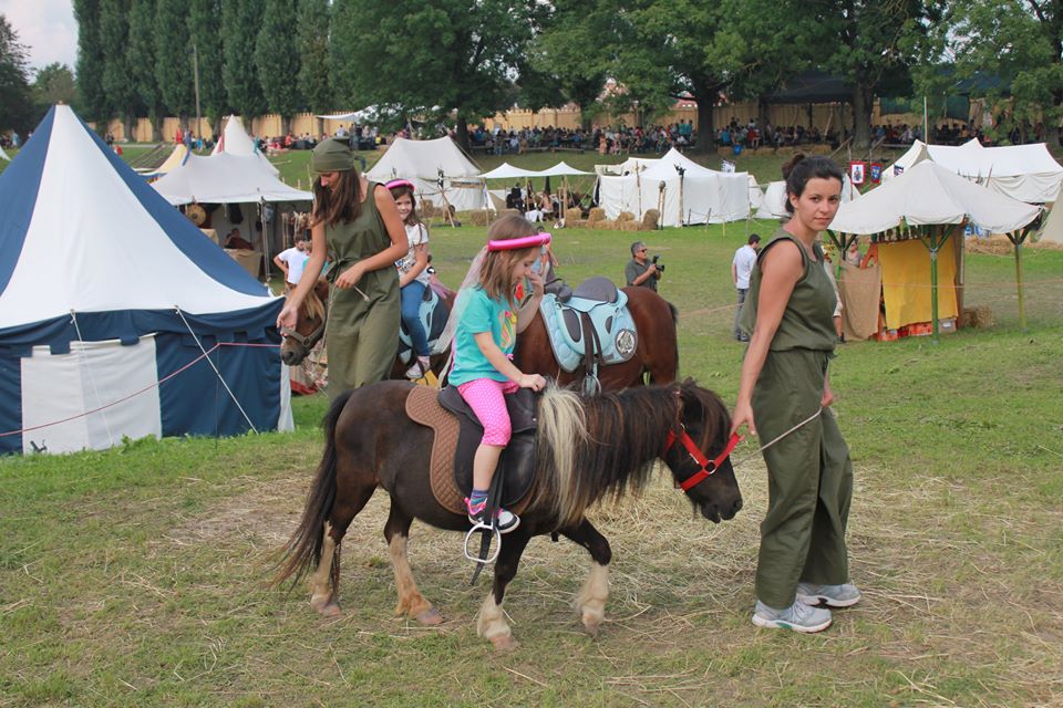 Ponyland slika