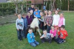 Ponyland slika