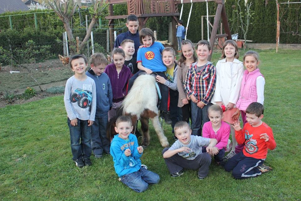 Ponyland slika