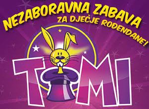 Čarobnjak Timi