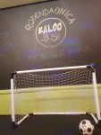 BALOO ROĐENDAONICA slika